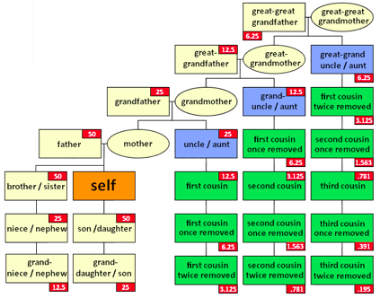 kinship-2